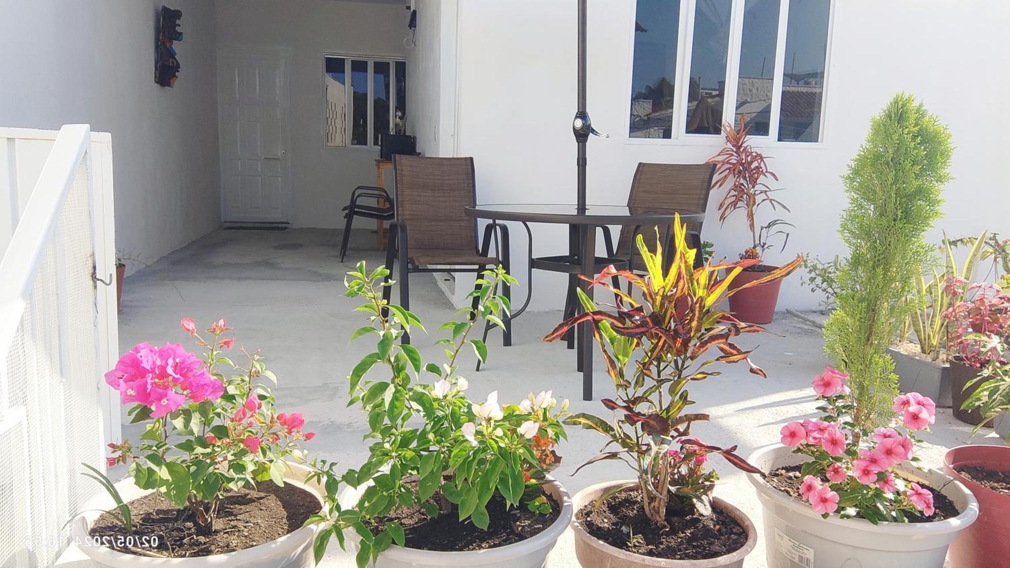 Tierra Maya Hotel Playa del Carmen Exterior photo